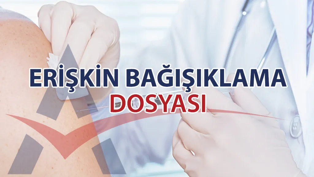 DOSYA 1:GRİP AŞISI