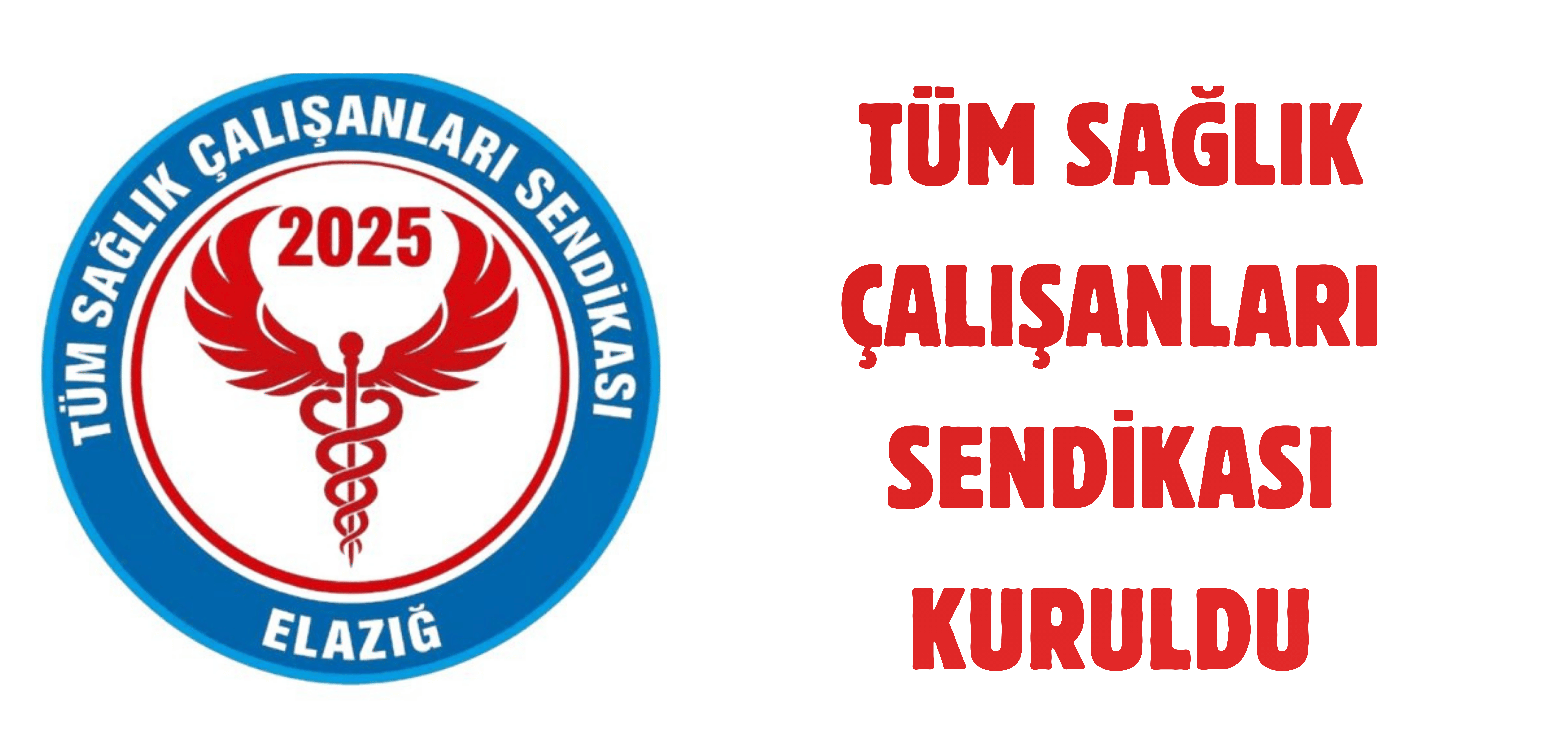 Tüm Sağlık Çalışanları Sendikası Kuruldu