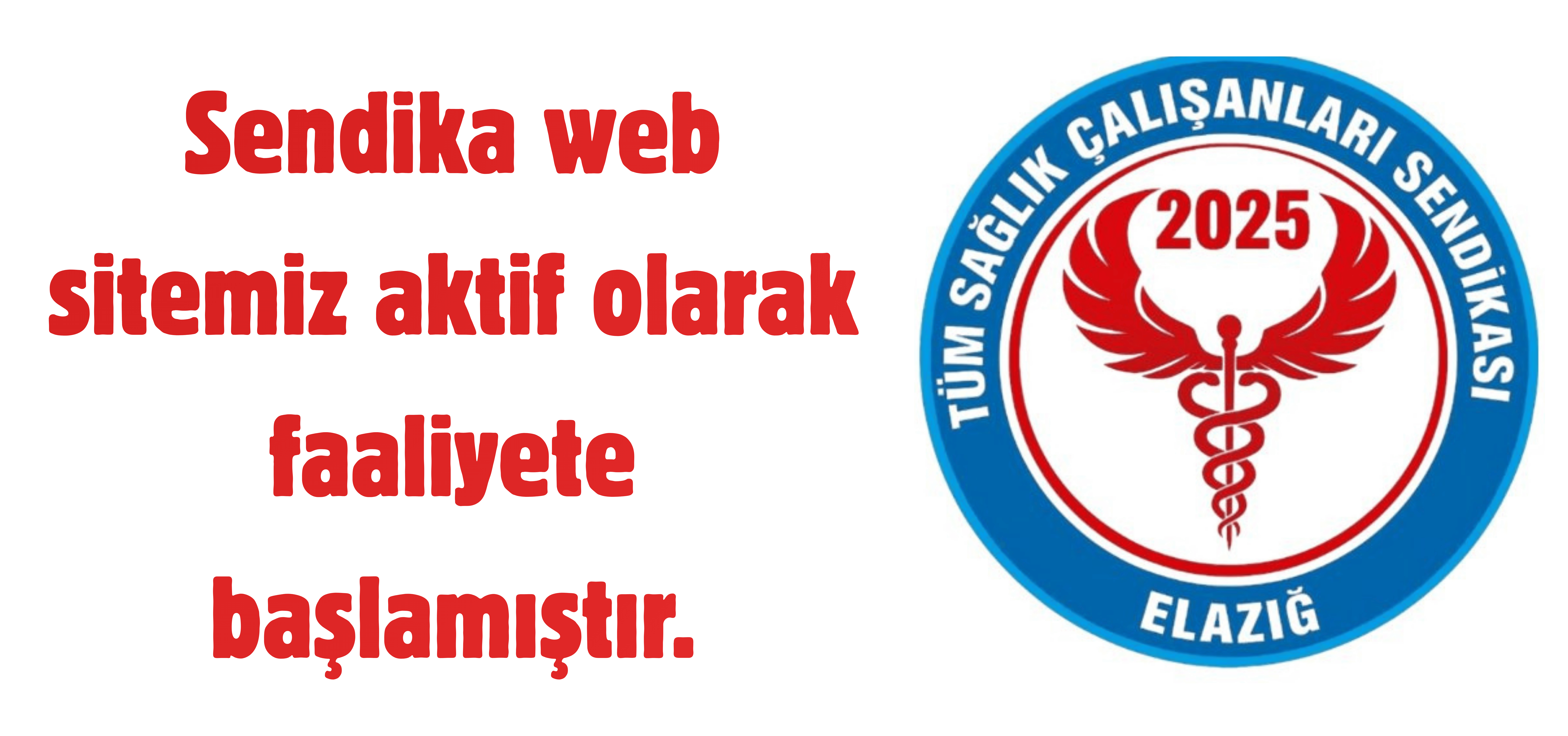 Sendika Web Sitemiz Aktifleşti